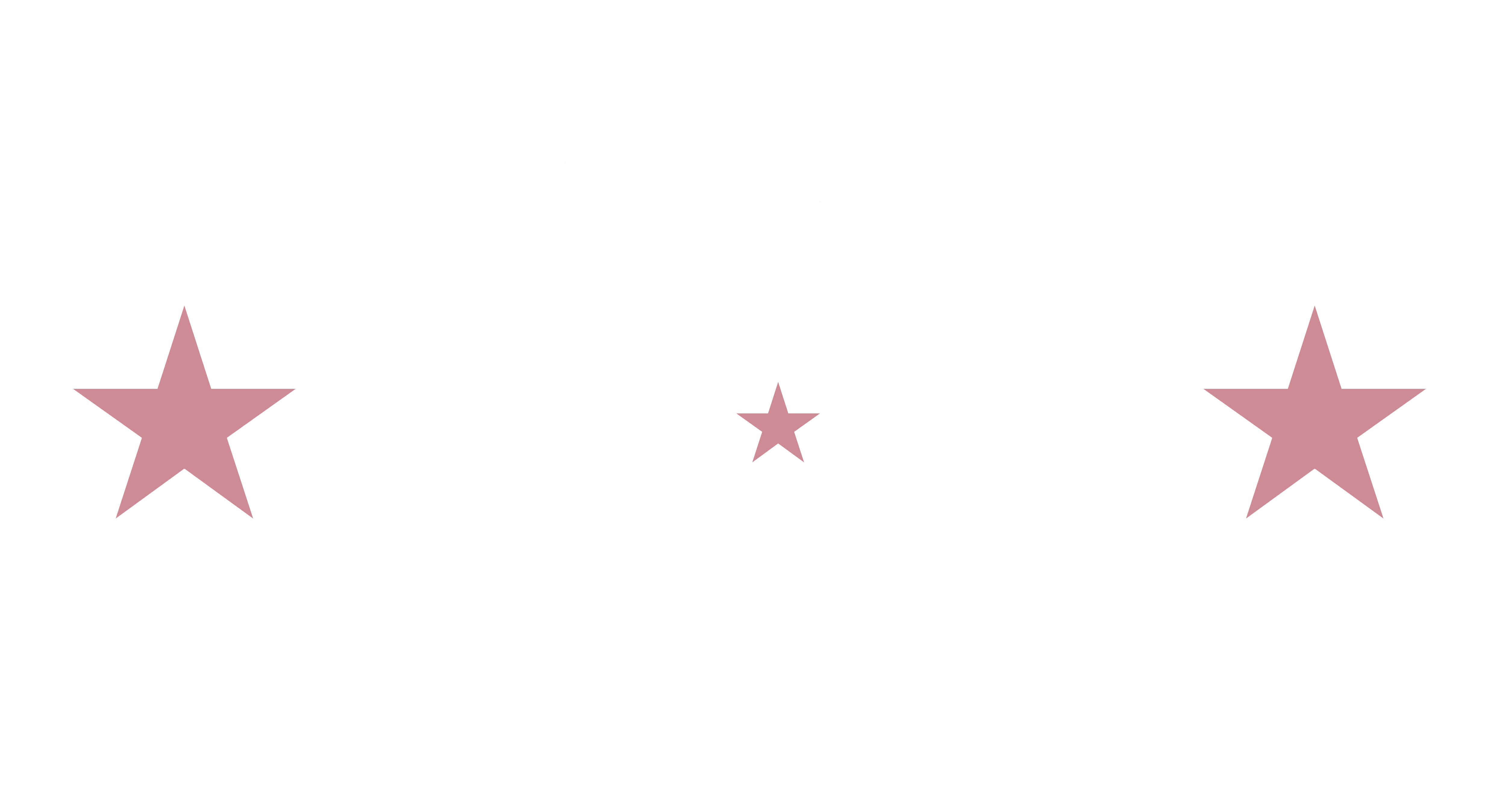DCS Logo